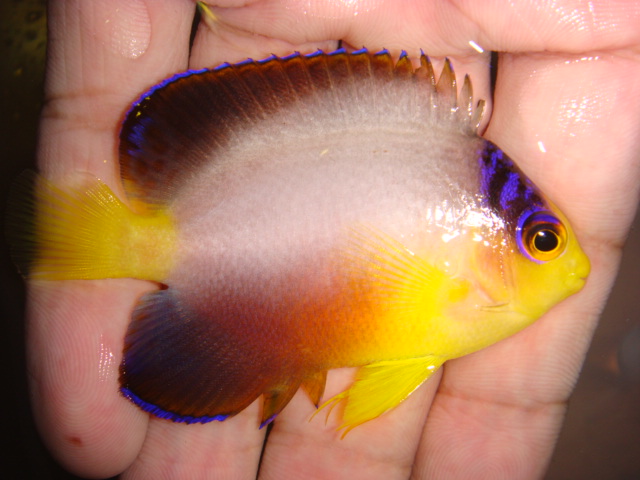 10th Sep - U.S.集魚場