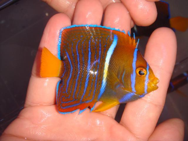 1st Sep 2010 - Mexico