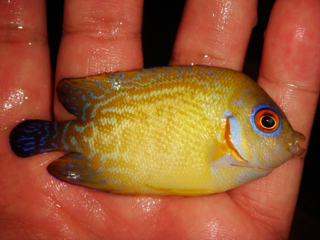 30th Sep 2010 - Vanuatu